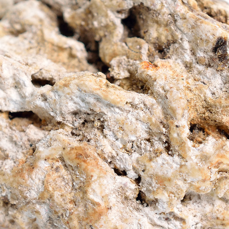 AMBERGRIS PERFUMES
