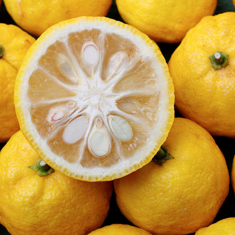YUZU PERFUMES