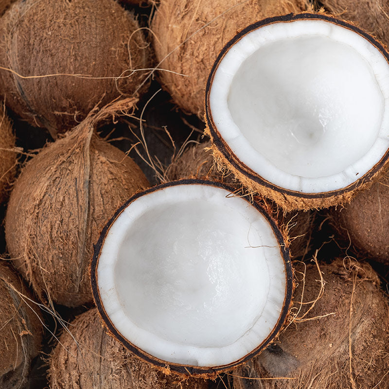 COCONUT & PALM WOOD PERFUMES