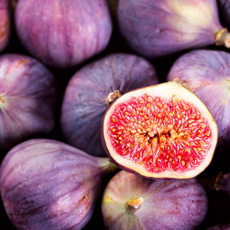 FIG PERFUMES