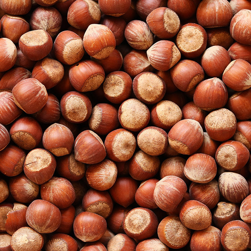 HAZELNUT PERFUMES