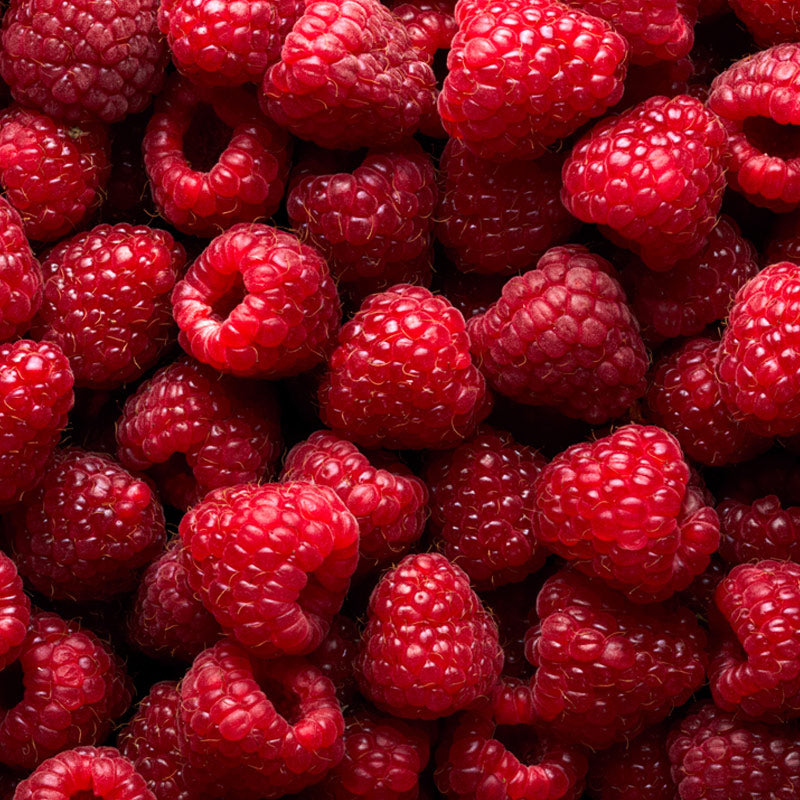 RASPBERRY PERFUMES