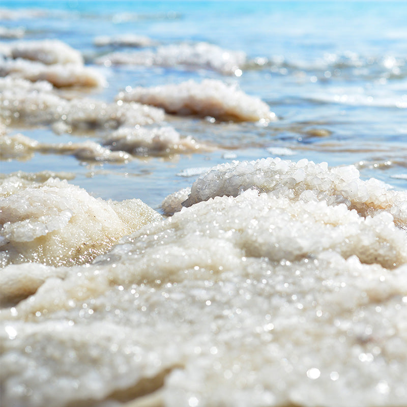 SALT PERFUMES