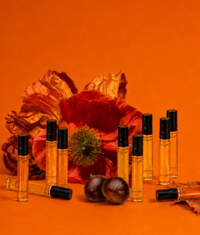 AUTUMN EDITTION