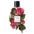 ÉCLAT 901 VIP - Earthy Rose