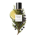 ÉCLAT 932 VIP - Fresh Cypress