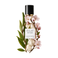 ÉCLAT 038 RAR - Green Tea & Cherry Blossom