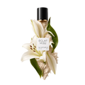 ÉCLAT 252 - Powdery Lily