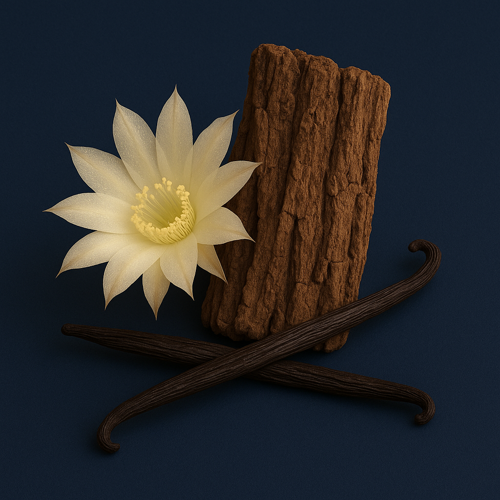 Une délicate fleur nocturne à côté de gousses de vanille et d'un morceau d'écorce texturée sur un fond sombre.